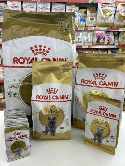 Корм ROYAL CANIN для чистопородних котів