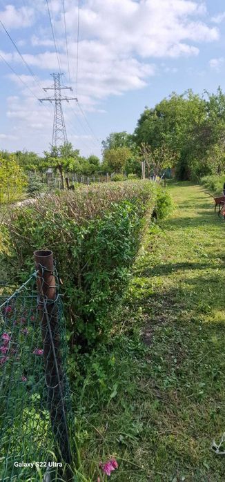 Wycinka drzew krzewów i inne prace ogrodowe, remonty, prace ziemne.