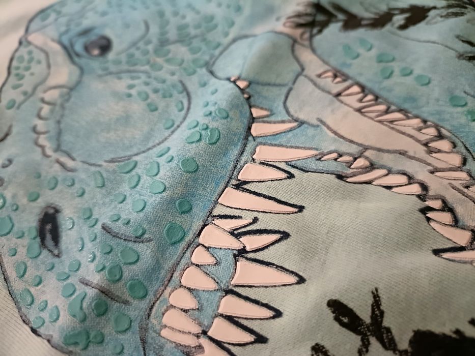 T-shirt Dinossauros  + Camisa Zara  - 5 anos (110 cm)