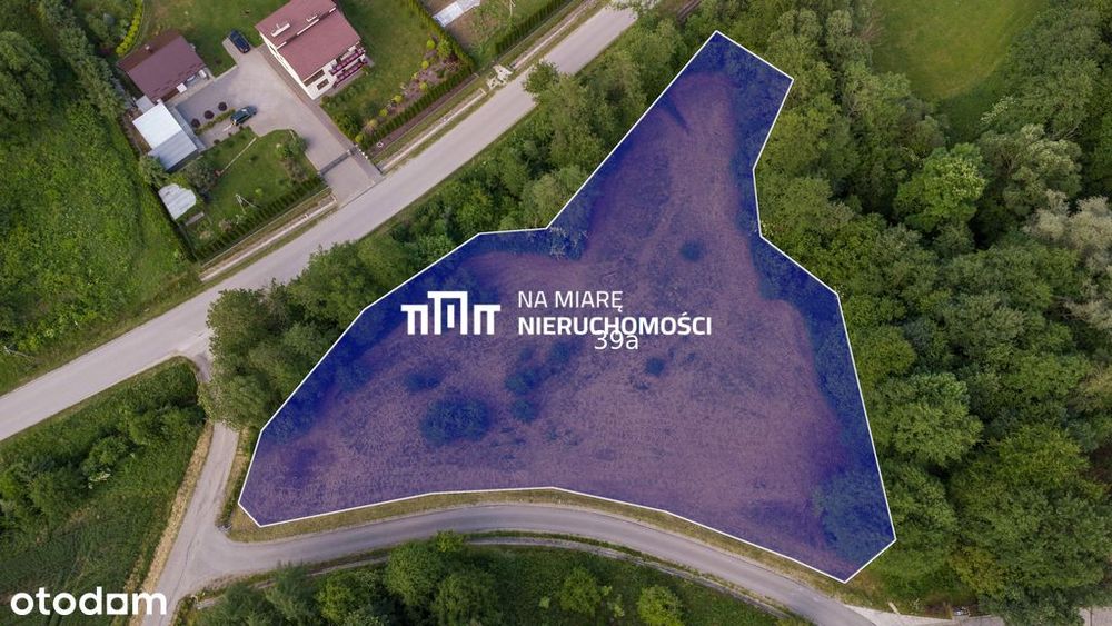 Twoje miejsce wśród zieleni | 39 a | WZ