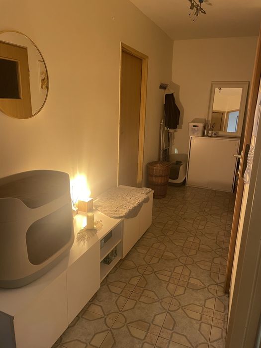 Pokój jednoosobowy do wynajecia