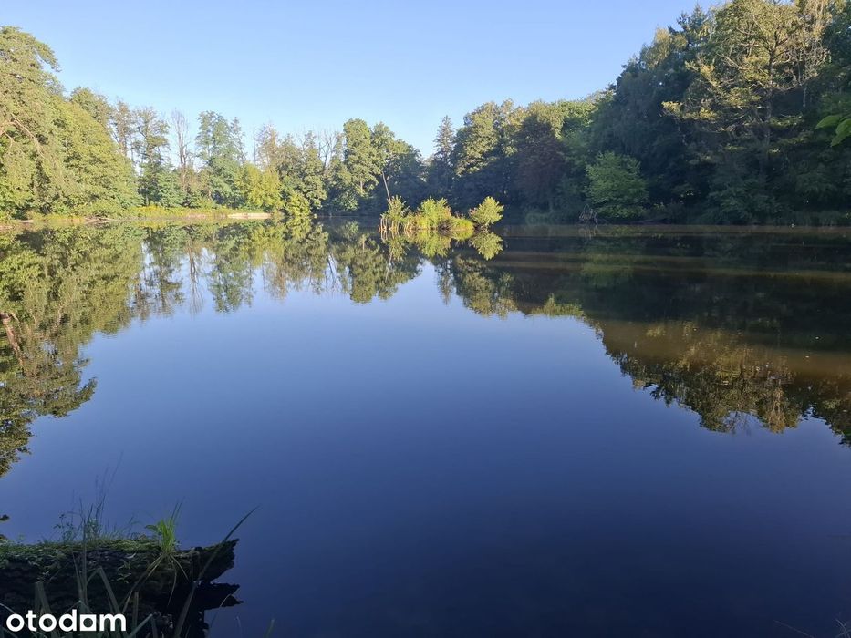 Działka budowlano-leśna 1344 m² w Grotnikach z WZ + UPUL