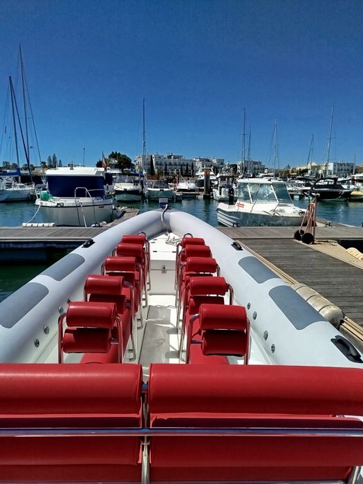 Semi Rigido Hydrosport 9,1mts Suzuki 350cv em MT