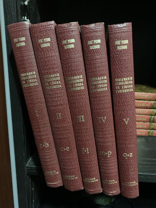 Dicionario lingua portuguesa