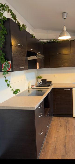Apartament Szafir, wynajem mieszkań Rzeszów, centrum miasta, noclegi