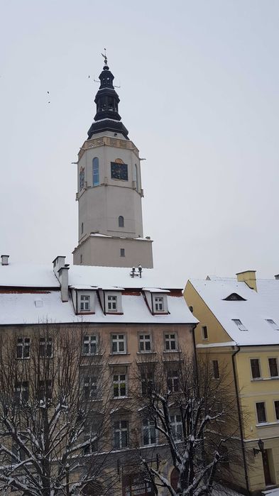 Mieszkanie w centrum- 2 pokoje - ciche i słoneczne, 57,60 m2