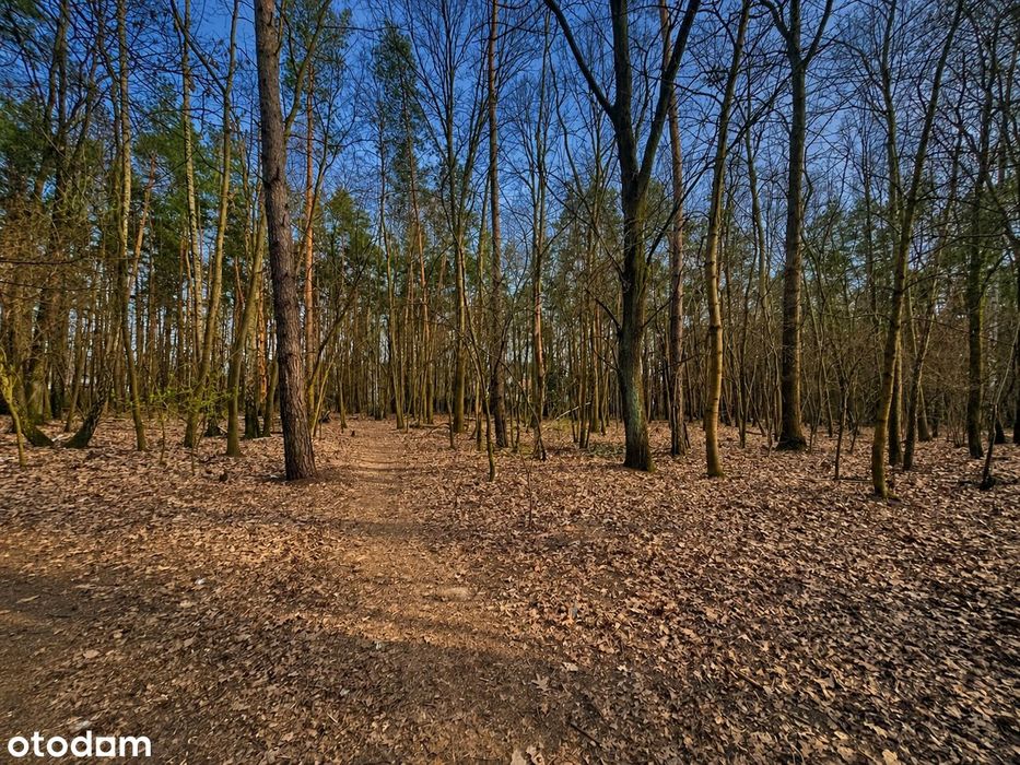 Działka Anin | 2032 m² | przy lesie | działka objęta MPZP