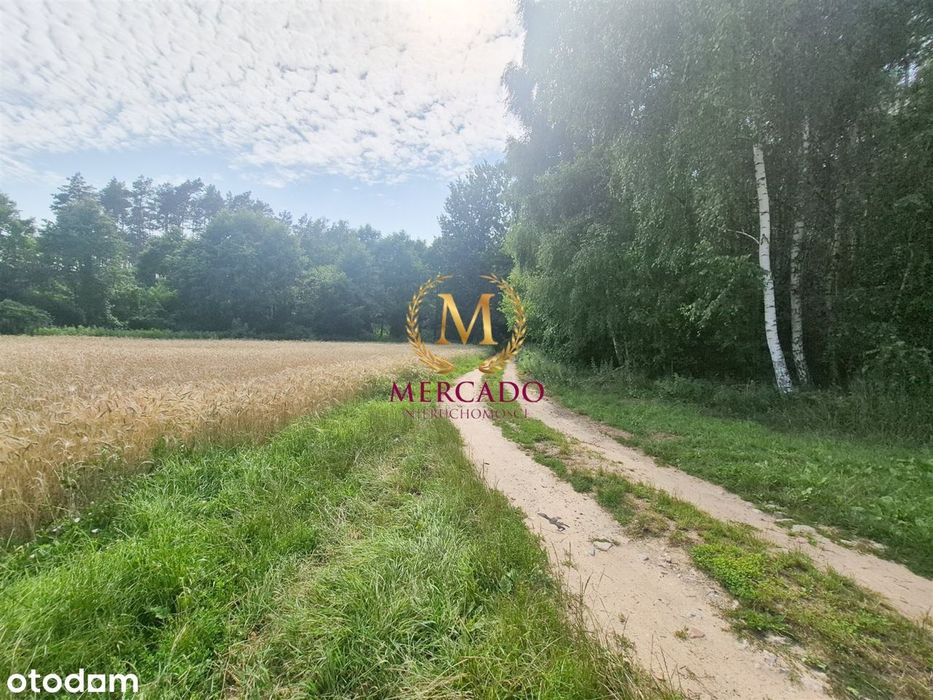 Wolnostojący dom 172m2, na działce 8821 m2,Grodnia