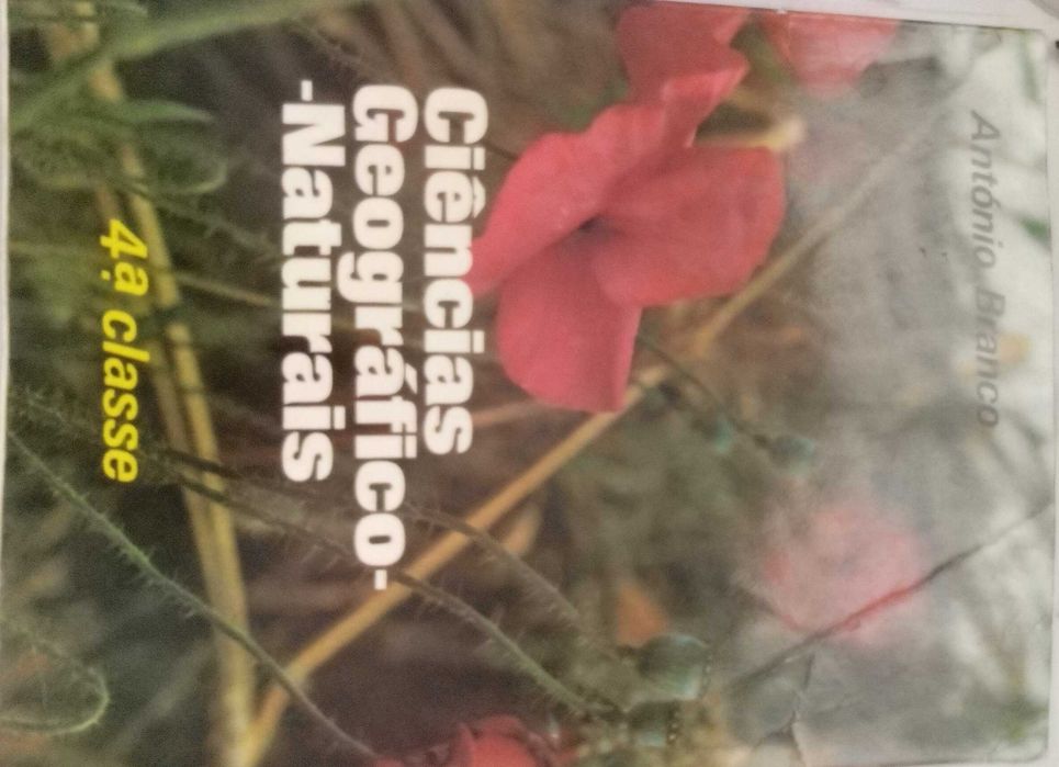 livros escolares antigos