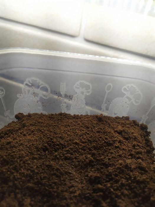 Жмых кофе(средний помол)