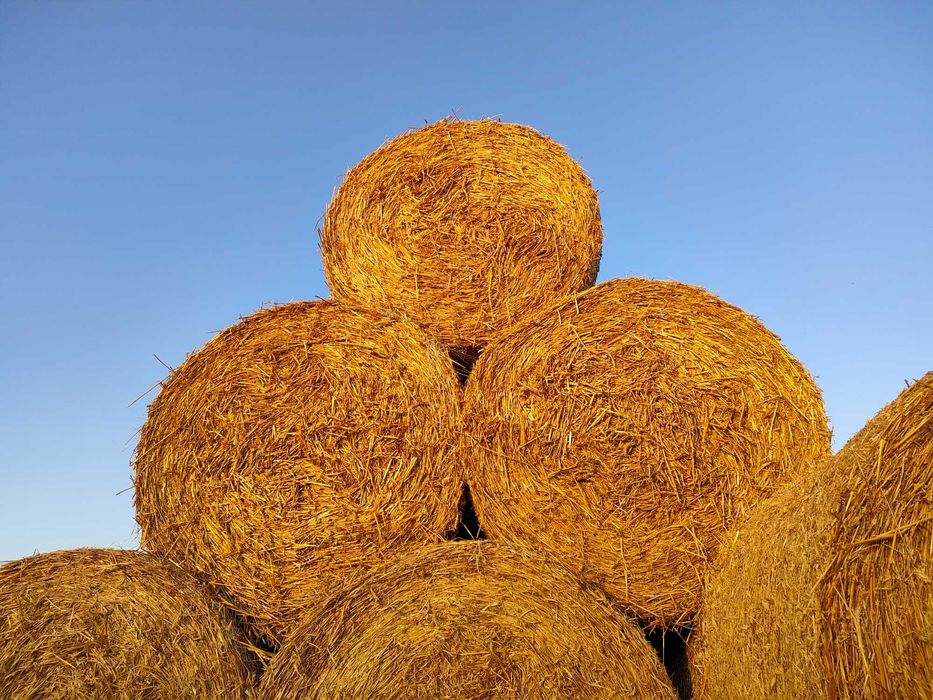 Sprzedam słomę 2025