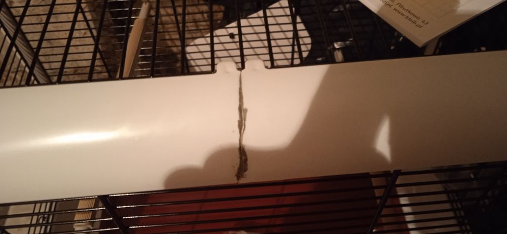 Super nowa klatka dla ptaków