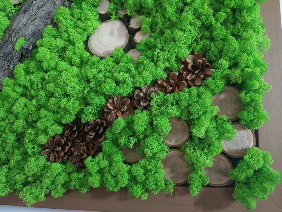 Obraz w drewnianej ramie 165x66 cm mech chrobotek