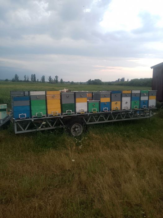 Продам прицеп с пчелами