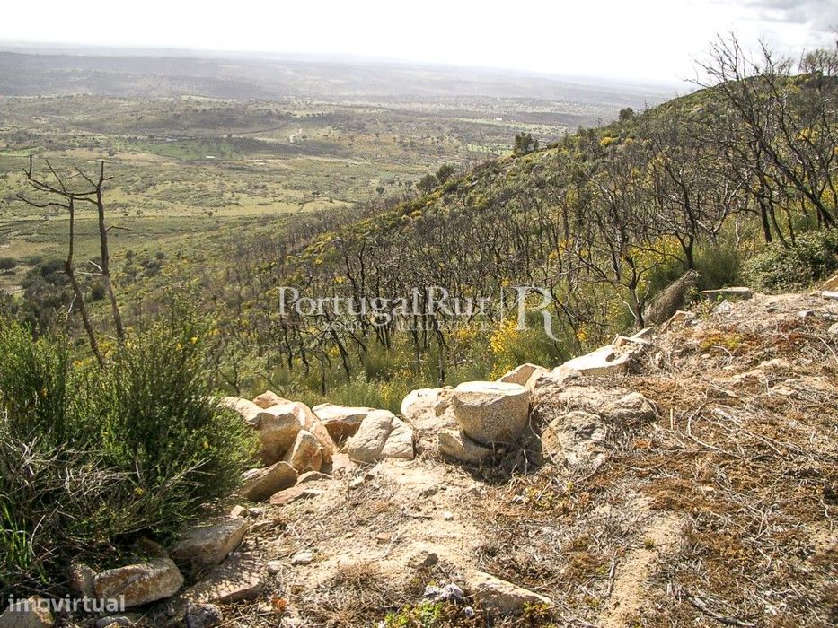Propriedade de 9ha inserida no P. N. Serra de S. Mamede