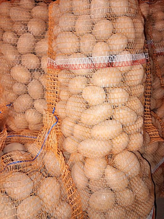 Ziemniaki jadalne Denar