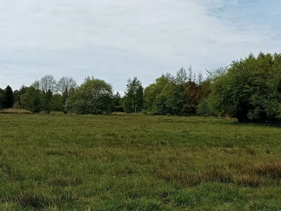 Działka Karwieńskie Błoto II
