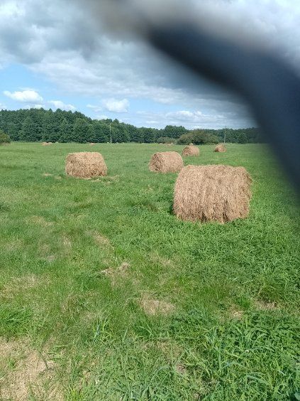 Sprzedam siano zesłoroczne