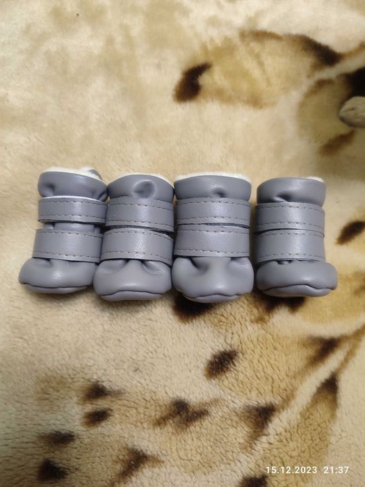 Чобітки для собак