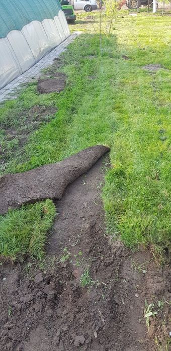 Wycinanie darni, usuwanie starego trawnika