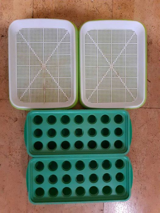 Лотки для мікрозелені та вирощування цибулі, россади