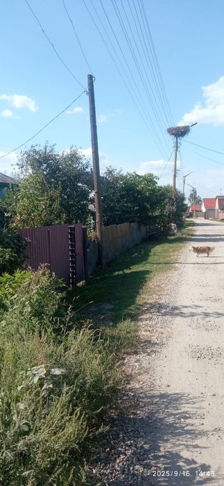 Продам будинок, м. Борзна, по вул. Покровській, буд. 57