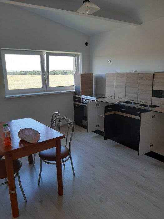 Mieszkanie do wynajęcia