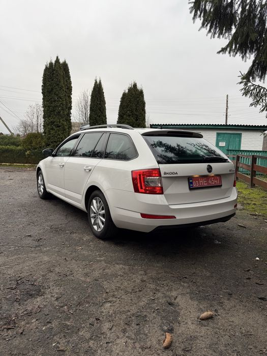 Skoda octavia 7 Шкода октавія а 7