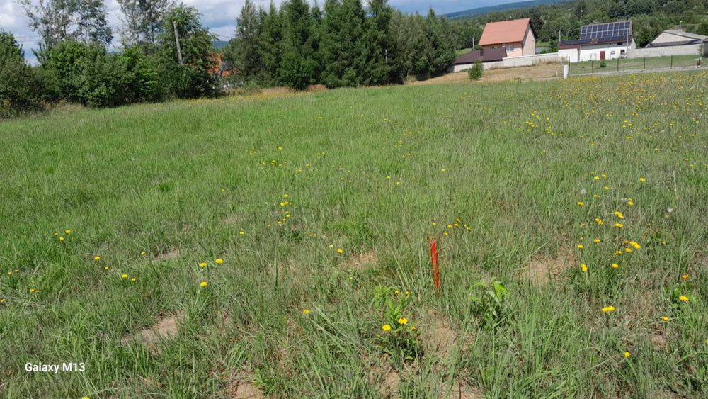 Działka budowlana w Ciekotach "za zalewem" z widokiem na Łysicę - Więcej