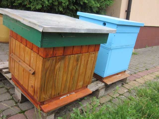 Matki pszczele ,odkłady  pasieka