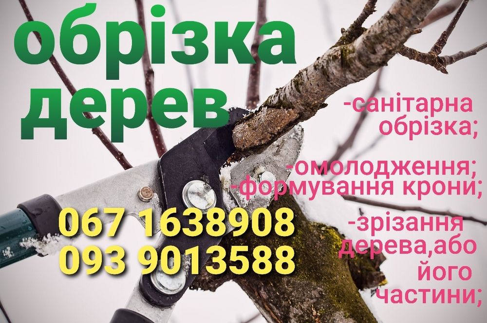 Обрізка дерев.Вінниця та Вінницький район.