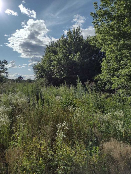 Будинок із земельною ділянкою