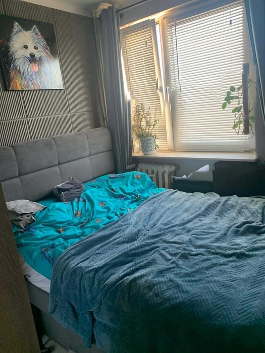 Przytulne 2-pokojowe mieszkanie  w samym sercu Rzeszowa