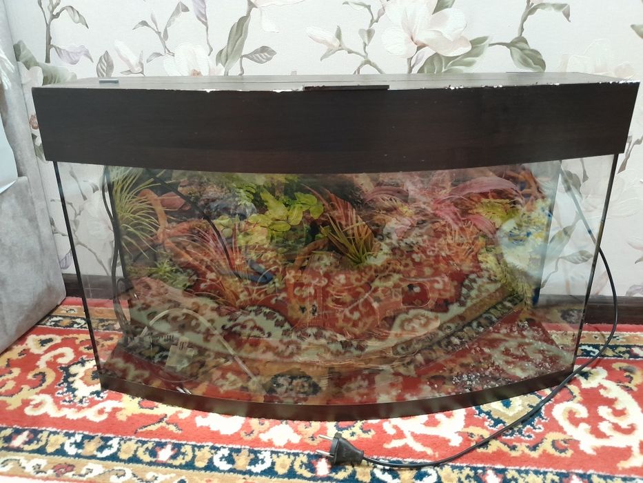 Продам акваріум з декором