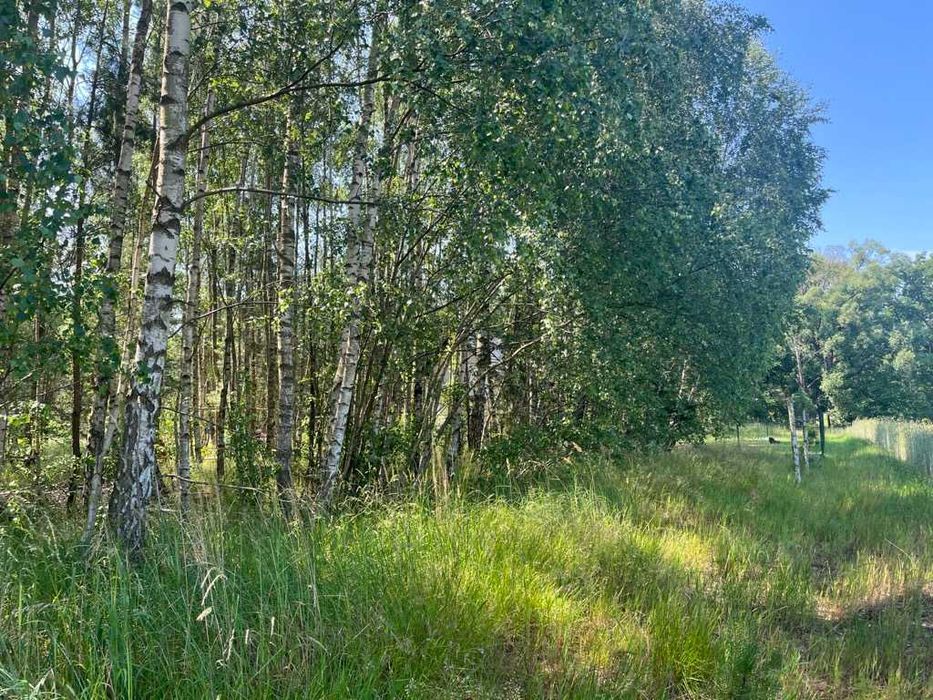 Działka na sprzedaż - Chłopowo - Widok 5