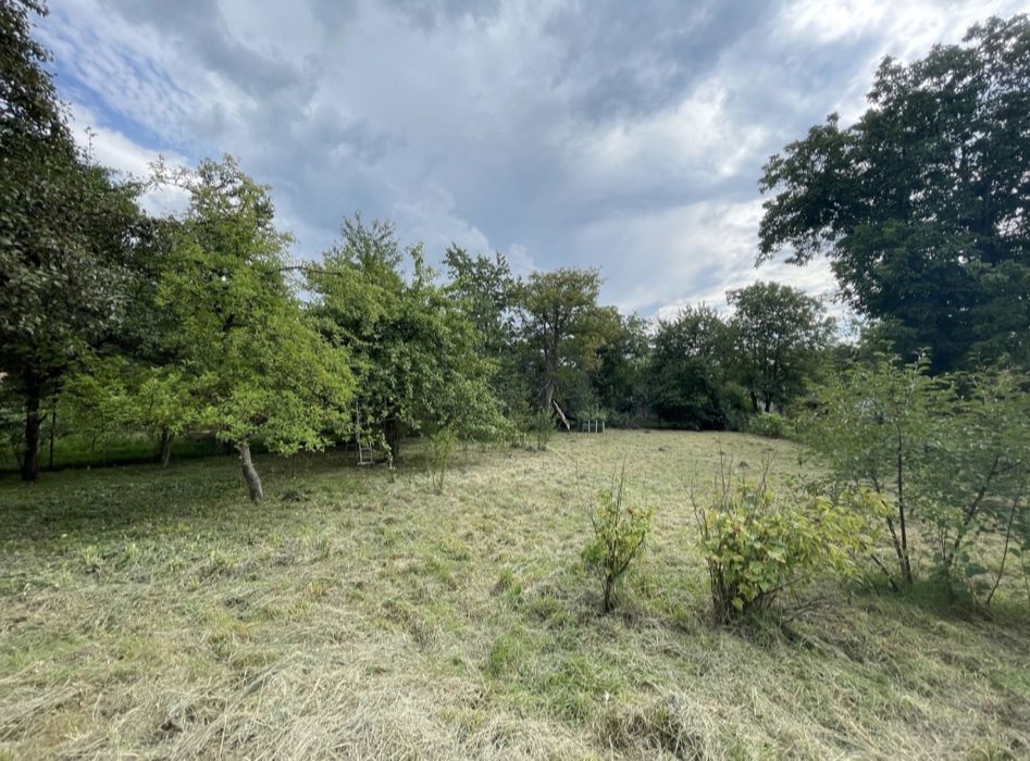 Центр! Два суміжних будинки + 24 сотих ділянка для життя та біз