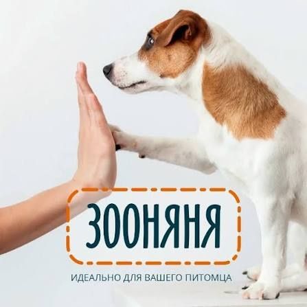 ЗооНяня  Правий берег Центр