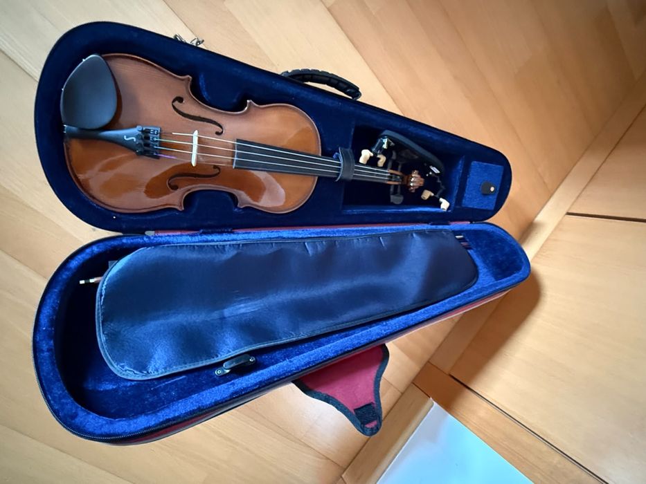 Violino em excelente estado