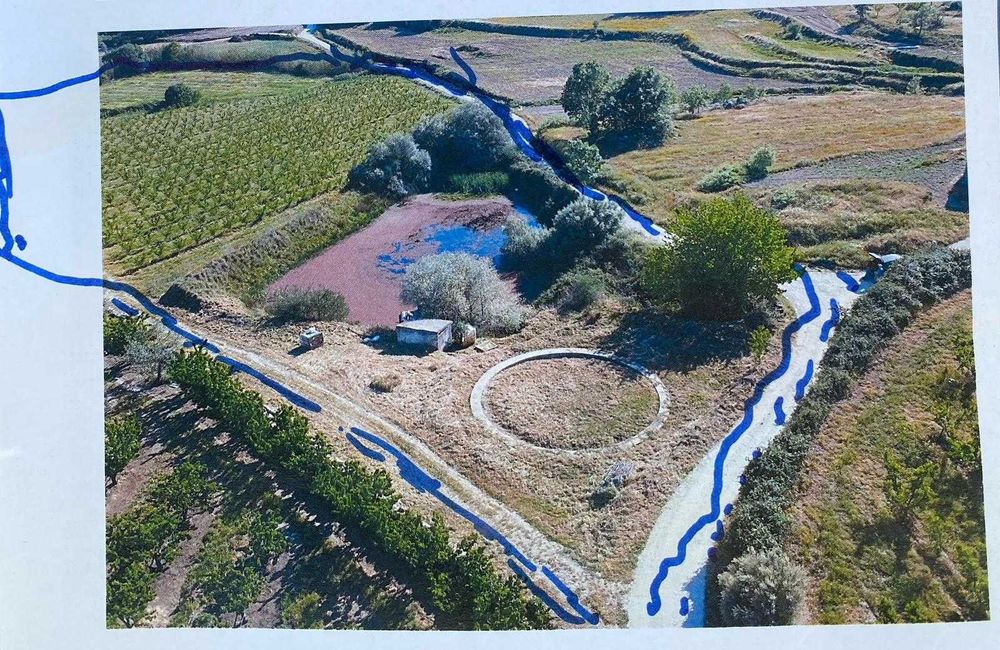 2 Terrenos Rústicos, com pomar de pessegos em plena produção