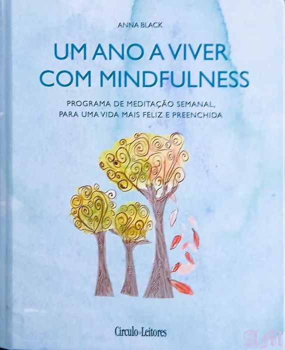 Um Ano A Viver Com Mindfulness