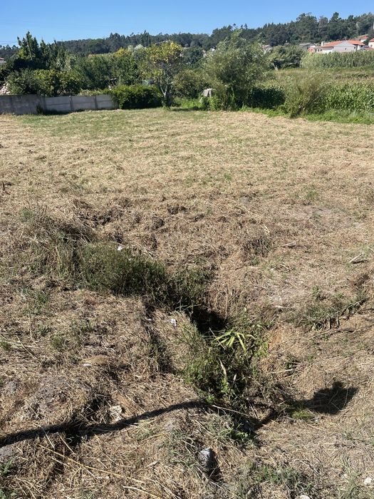 Terreno com viabilidade de construção