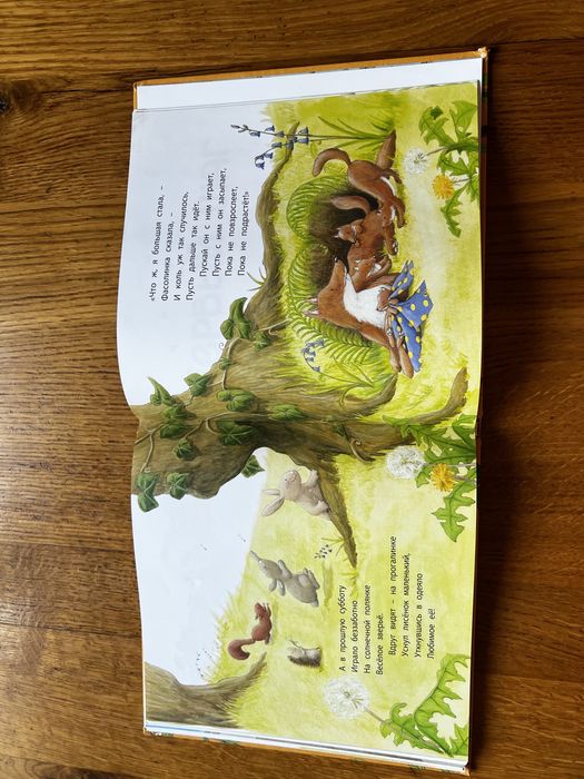 Детская книга