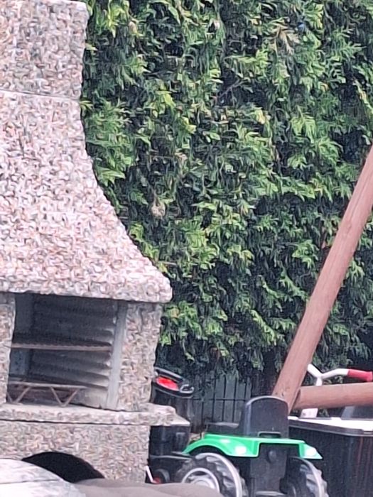 Gril ogrodowy  polecam