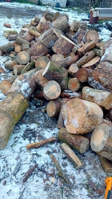 Drzewno opalowe kominowe