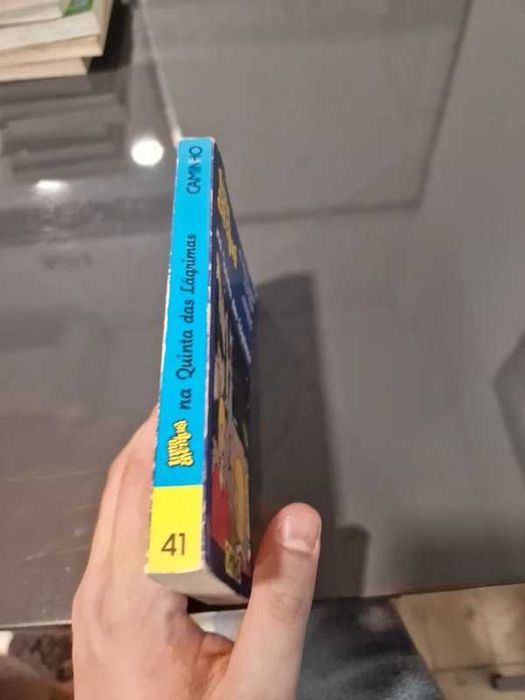 Uma Aventura na Quinta das Lágrimas - nº41