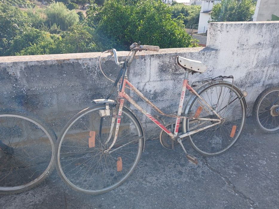 Várias  bicicletas