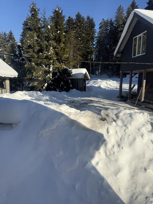 Відпочинок в Карпатах, будиночок у лісі!