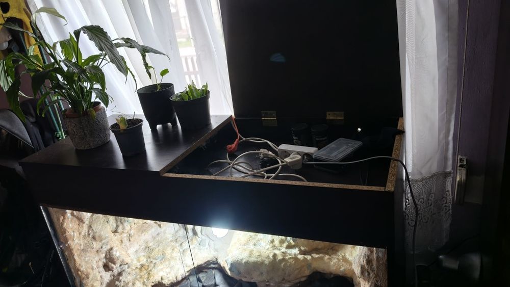 Terrarium z płyty meblowej 125x60x60