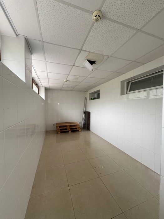 Оренда • комерція • 225 м² • цокольний поверх • Галини Петрової • #146583