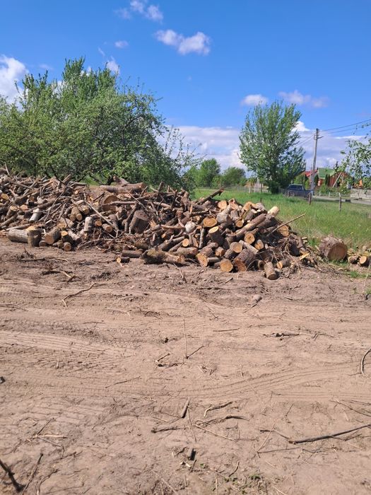 Продам дрова ,фруктові.